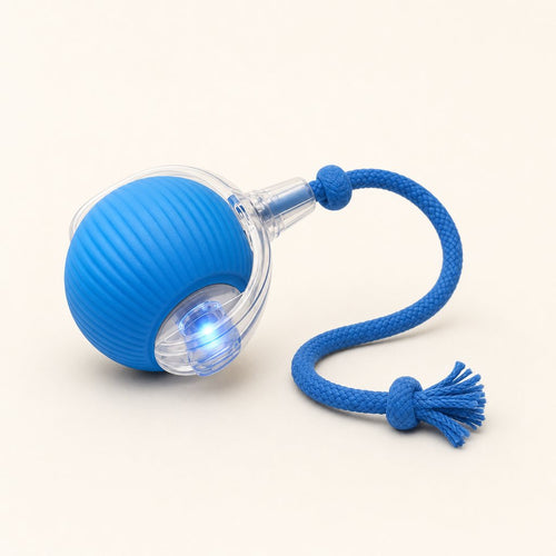 The blue Roll n Chase ball with its rope tail